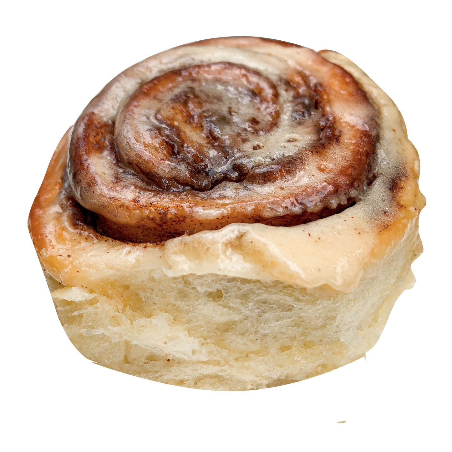 The Cinnamon Roll